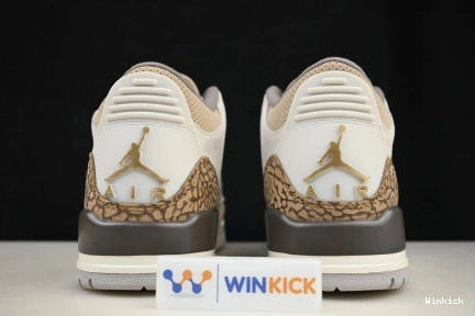 Jordan Air 3 CT8532-102 "Palomino" 1019